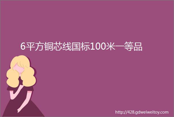 6平方铜芯线国标100米一等品